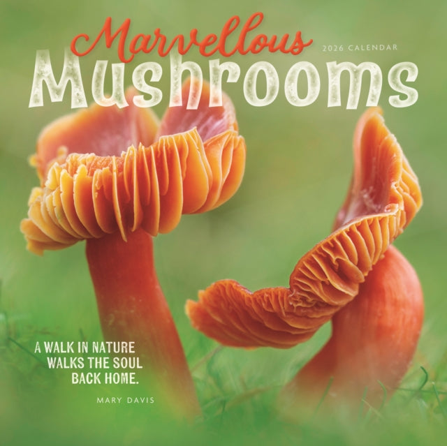 Book cover of: Marvellous Mushrooms Square Wall Calenda