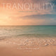 Book cover of: Tranquillity Square Wall Sunday Start Ca