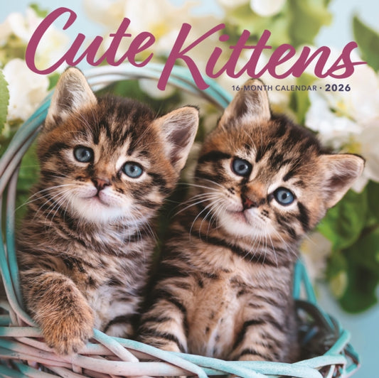 Book cover of: Kittens Square Wall Sunday Start Calenda