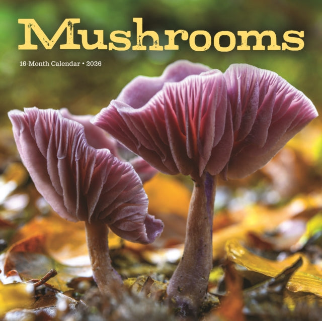 Book cover of: Mushrooms Square Wall Sunday Start Calen