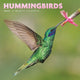 Book cover of: Hummingbirds Square Mini Sunday Start Ca