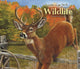 Book cover of: Victoria Schult Deluxe Wall Sunday Start