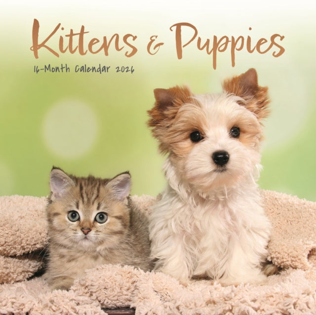 Book cover of: Kittens Puppies Square Mini Sunday Start