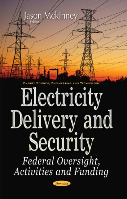 Book cover of: Electricity Delivery & Security. By: Jason Mckinney