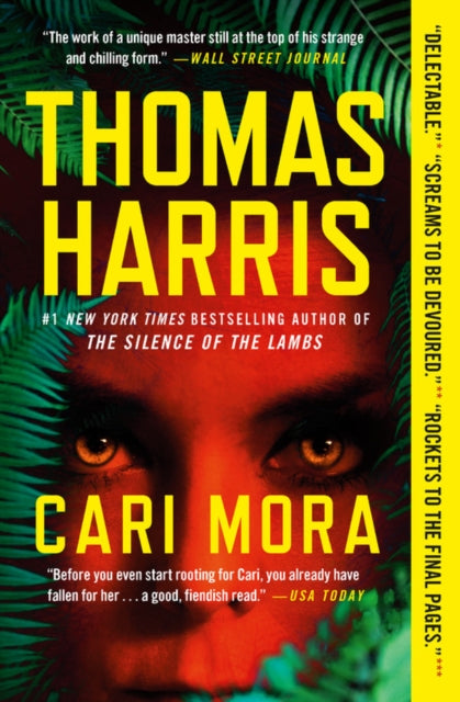 Cari Mora : A Novel
