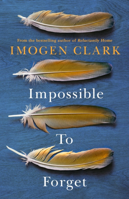 Book cover of: Impossible To Forget. By: Imogen Clark