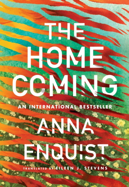 Book cover of: Homecoming. By: Anna Enquist