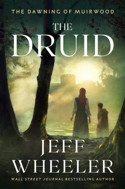 Book cover of: Druid. By: Jeff Wheeler