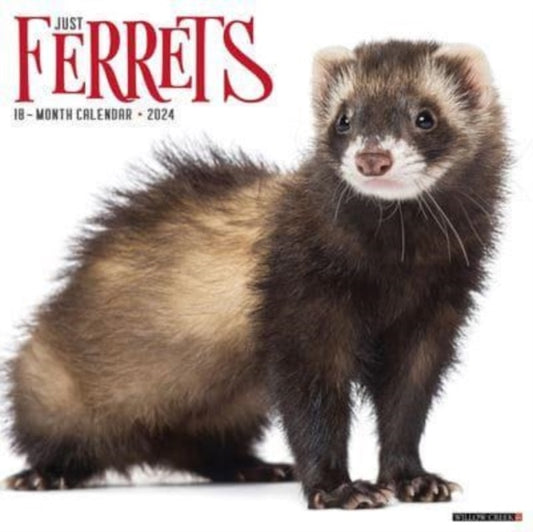 Book cover of: Ferrets 2024 12 X 12 Wall Calendar