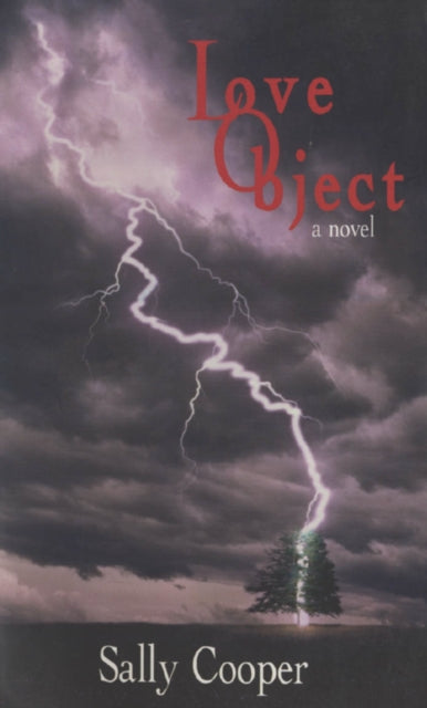 Book cover of: Love Object