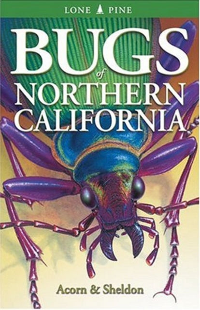 Book cover of: Bugs of Northern California. By: John Acorn