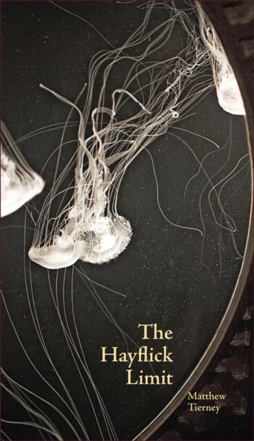 Book cover of: Hayflick Limit. By: Matthew Frederick Tierney