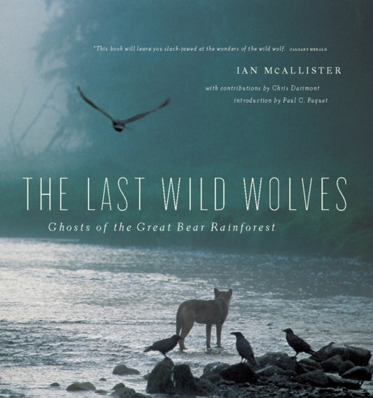 Book cover of: Last Wild Wolves. By: Ian McAllister
