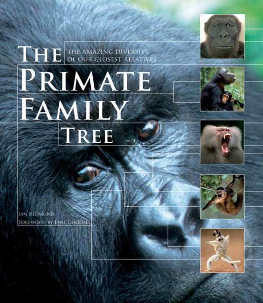 Book cover of: Primate Family Tree. By: Ian Redmond