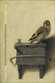 Book cover of: Ornithologies of Desire. By: Travis V. Mason