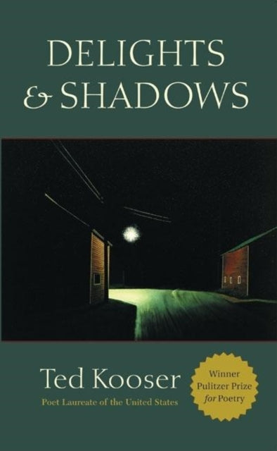 Book cover of: Delights & Shadows
