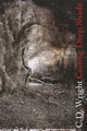 Book cover of: Casting Deep Shade. By: C. D. Wright
