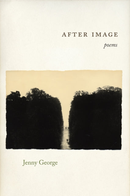 Book cover of: After Image