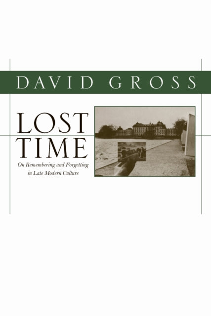 Book cover of: Lost Time. By: David Gross