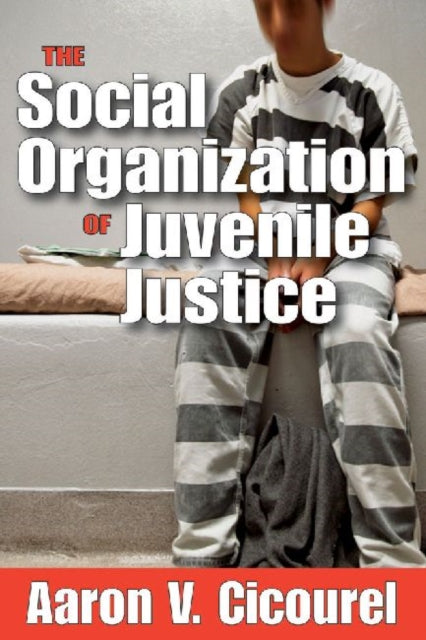 Book cover of: Social Organization of Juvenile Justice