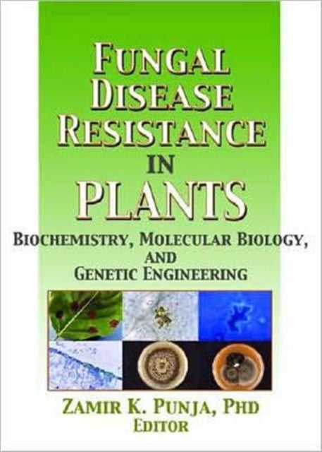 Book cover of: Fungal Disease Resistance in Plants. By: Zamir K. Punja