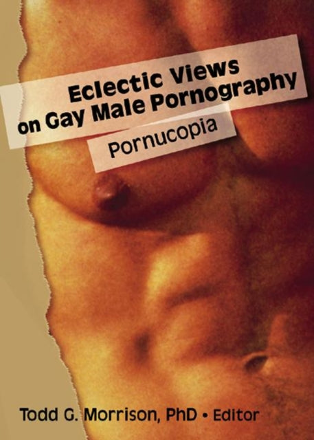 Book cover of: Eclectic Views on Gay Male Pornography. By: Todd G. Morrison