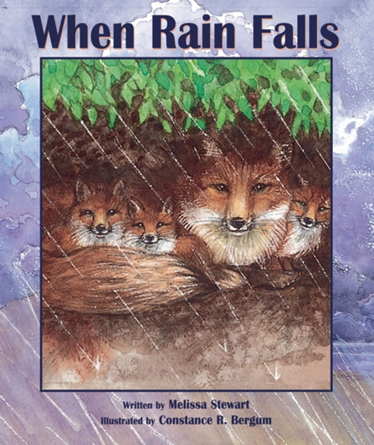 Book cover of: When Rain Falls. By: Melissa Stewart