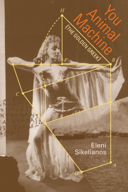 Book cover of: You Animal Machine (The Golden Greek)