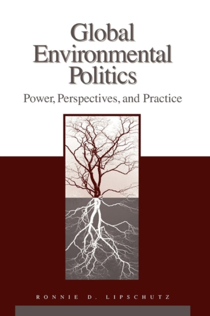 Book cover of: Global Environmental Politics. By: Ronnie D. Lipschutz