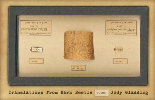 Book cover of: Translations from Bark Beetle