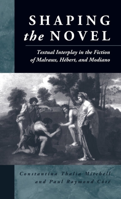 Shaping the Novel