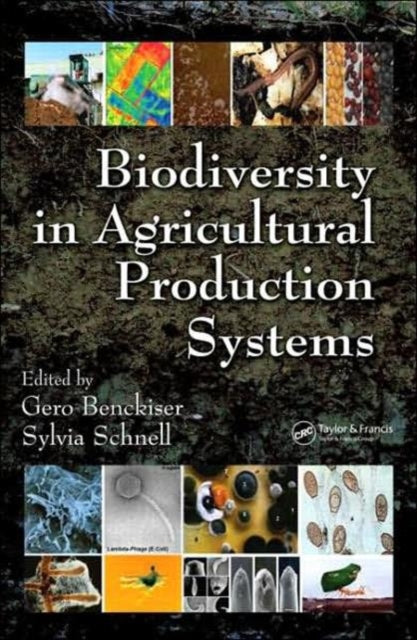 Book cover of: Biodiversity In Agricultural Production Systems