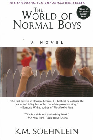 The World Of Normal Boys