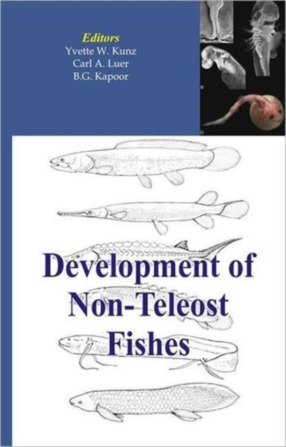 Book cover of: Development of Non-teleost Fishes