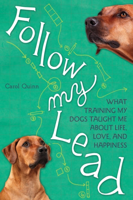 Book cover of: Follow My Lead. By: Carol Quinn