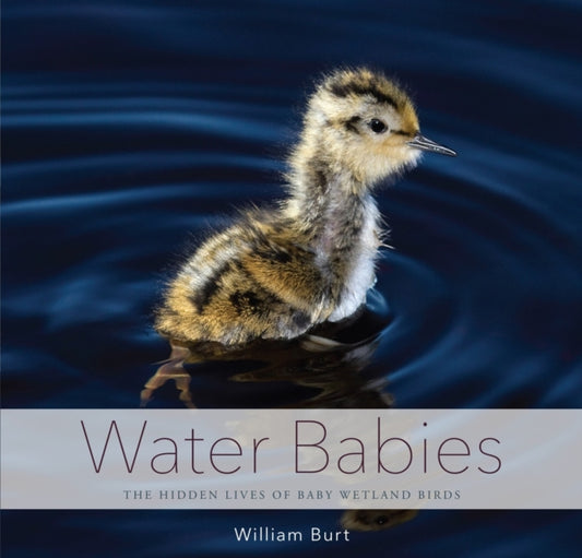 Book cover of: Water Babies. By: Burt, William