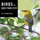 Book cover of: Birds of New York City. By: Cal Vornberger