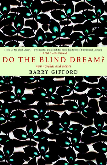 Book cover of: Do The Blind Dream?. By: Barry Gifford