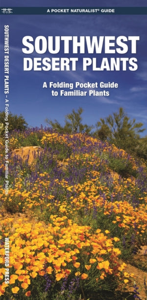 Southwestern Desert Plants