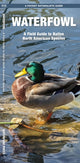 Book cover of: Waterfowl. By: James Kavanagh