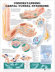 Book cover of: Understanding Carpal Tunnel Syndrome Anatomical Chart