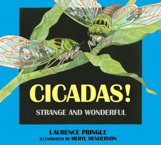 Book cover of: Cicadas!