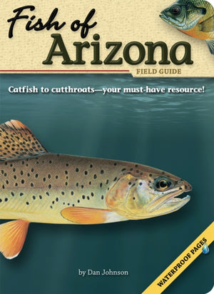 Fish of Arizona Field Guide