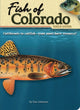 Book cover of: Fish of Colorado Field Guide. By: Dan Johnson