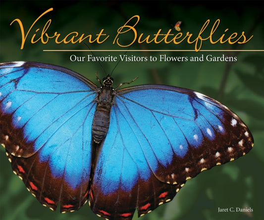 Book cover of: Vibrant Butterflies. By: Jaret C. Daniels