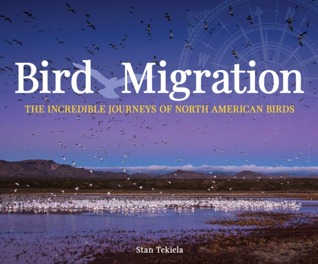 Book cover of: Bird Migration. By: Stan Tekiela