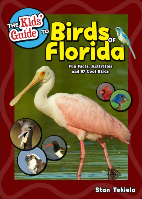 Book cover of: Kids' Guide to Birds of Florida. By: Stan Tekiela