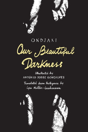Our Beautiful Darkness, A Graphic Novel