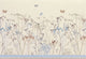 Book cover of: Note Card Butterflies. By: Peter Pauper Press