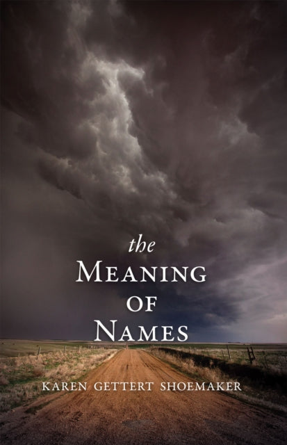 Book cover of: Meaning of Names. By: Karen Gettert Shoemaker